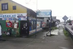 PUERTO MASCOTAS ALERCE