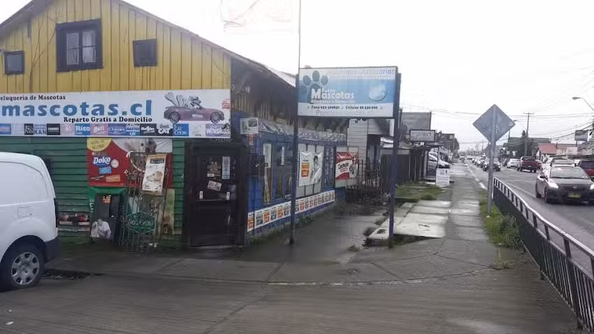 PUERTO MASCOTAS ALERCE