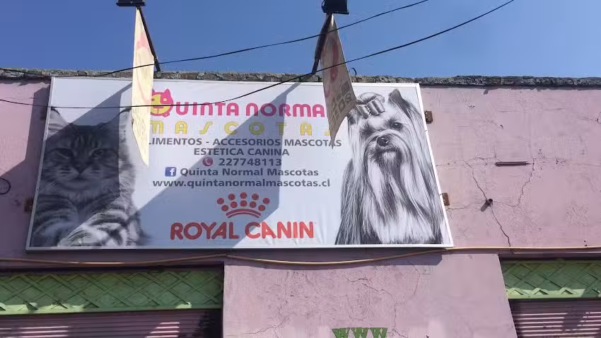 Quinta Normal Mascota
