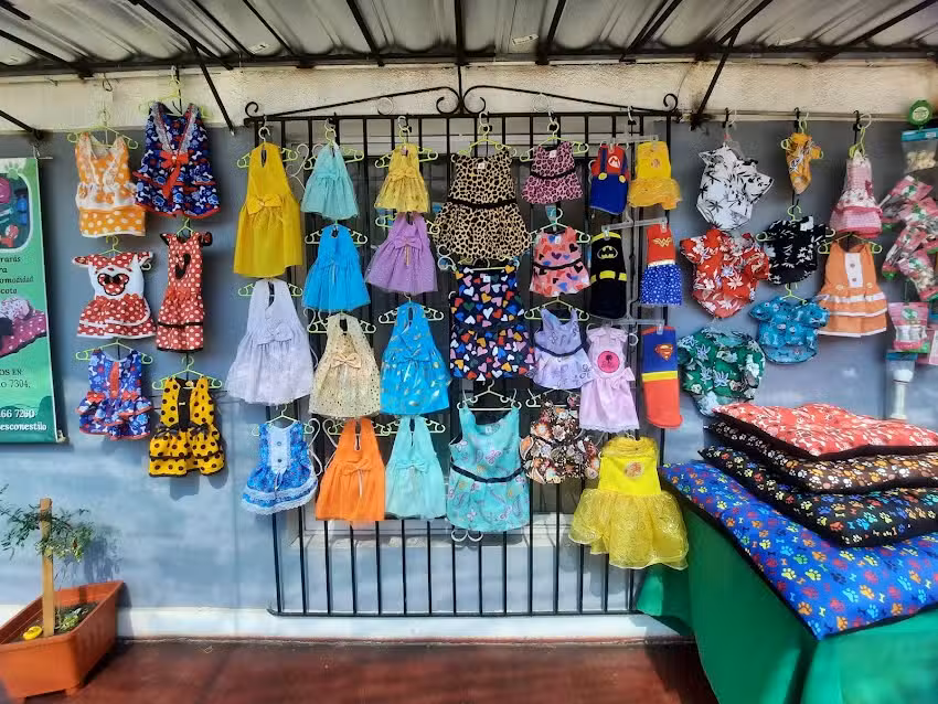 Regalones Con Estilo