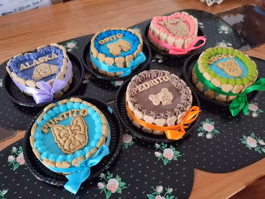 Reposter&iacute;a Para Mascotas Homero