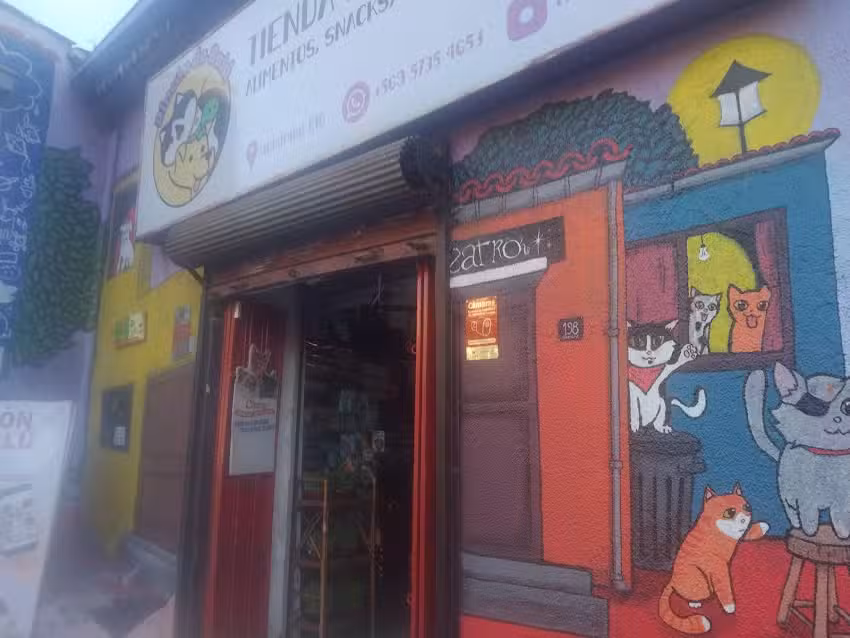 Rinc&oacute;n de Bal&uacute;