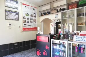 SALON DE BELLEZA CANINA LAURENT BELL