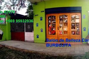 Sal&oacute;n de Belleza Canino Burbujita