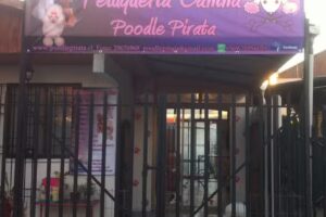 Salon De Peluches Pet Spa