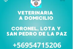 Santopet veterinaria