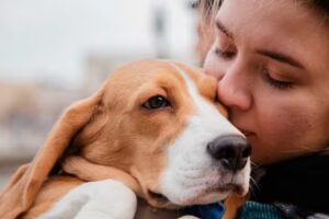 Servicio de Despedida de Mascotas