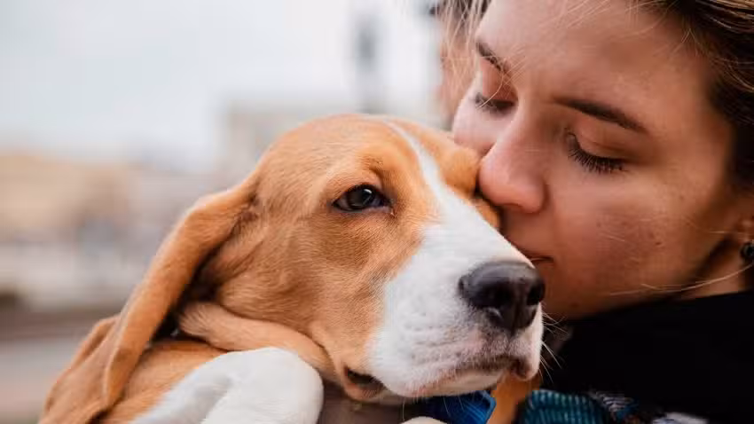 Servicio de Despedida de Mascotas