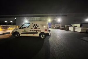 Servicios veterinarios Paw spa