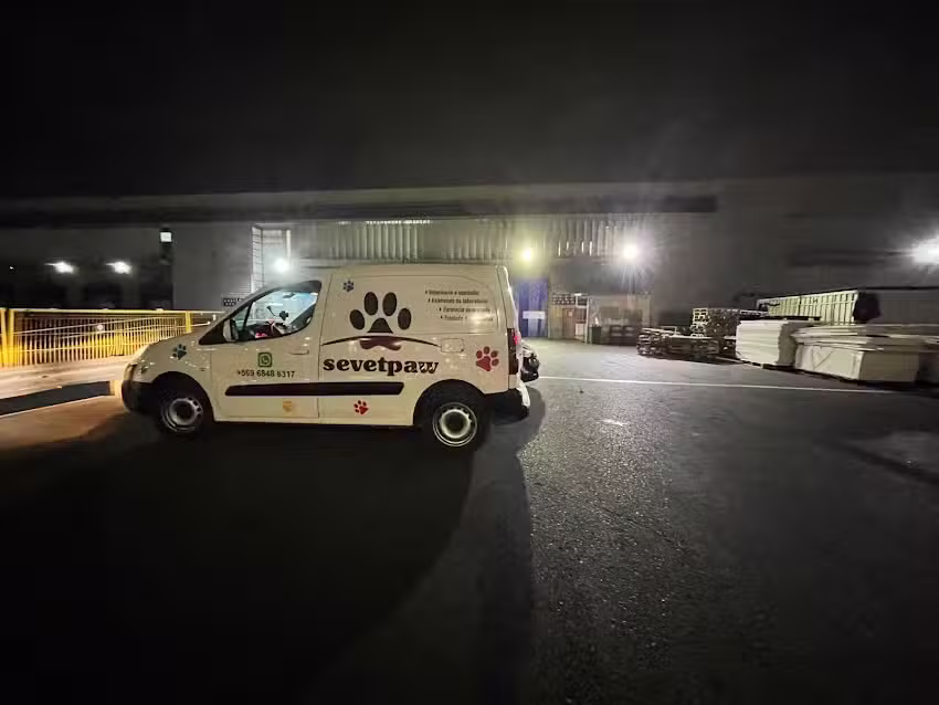 Servicios veterinarios Paw spa