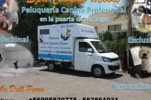 Spa Canino M&oacute;vil Alba dell Pezzo