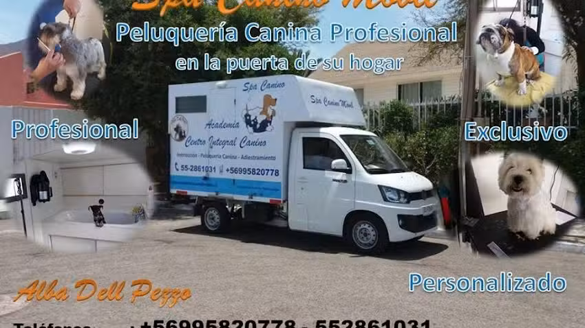 Spa Canino M&oacute;vil Alba dell Pezzo