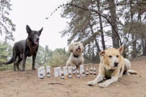 Tienda Bienestar animal by FDP Maitencillo