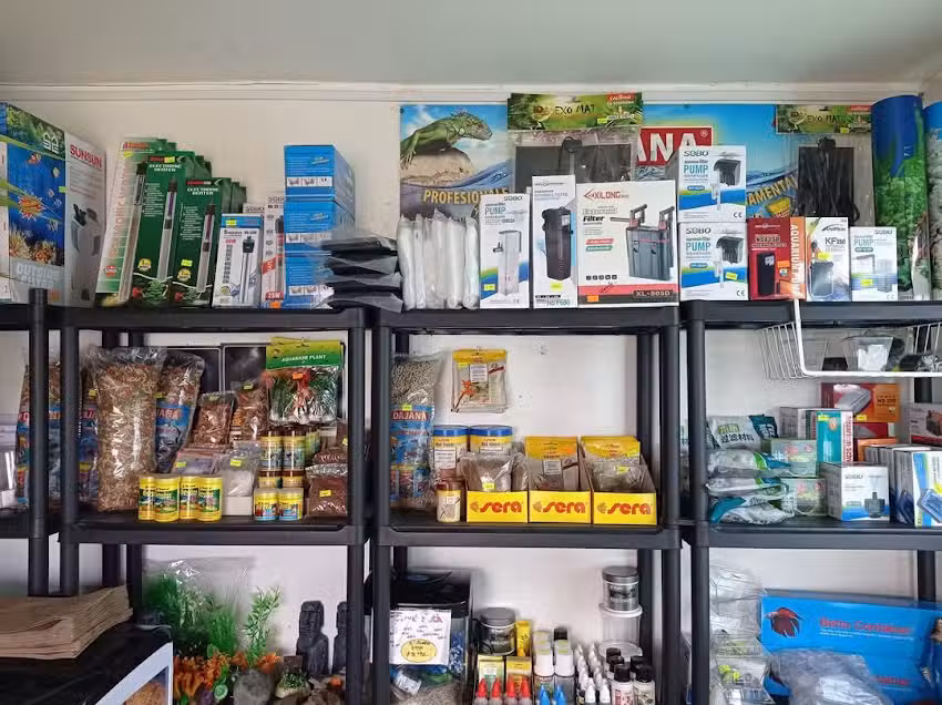 Tienda de art&iacute;culos para acuarios