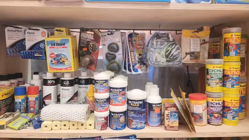 Tienda de peces y Ciclidos africanos Pe&ntilde;aflor