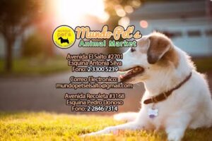 Tienda Mundo Pet&acute;s