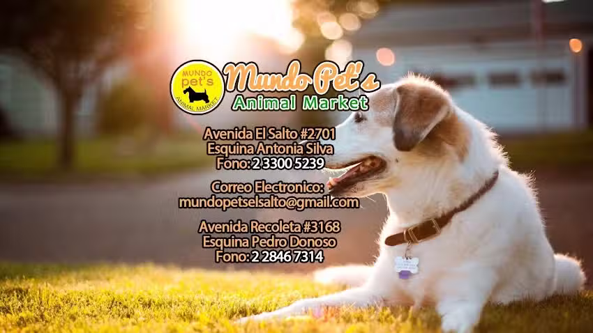 Tienda Mundo Pet&acute;s