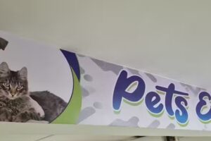 Tienda Pets Eden