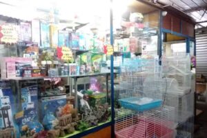 Tiendas de mascotas y peces