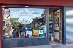 Todo Mascotas Villarrica