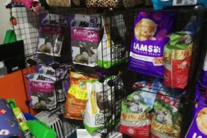 Todoparatuhuron Vi&ntilde;a del Mar