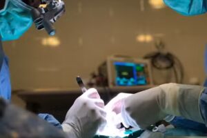 Traumat&oacute;logo Veterinario Coquimbo