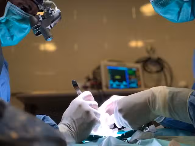 Traumat&oacute;logo Veterinario Coquimbo