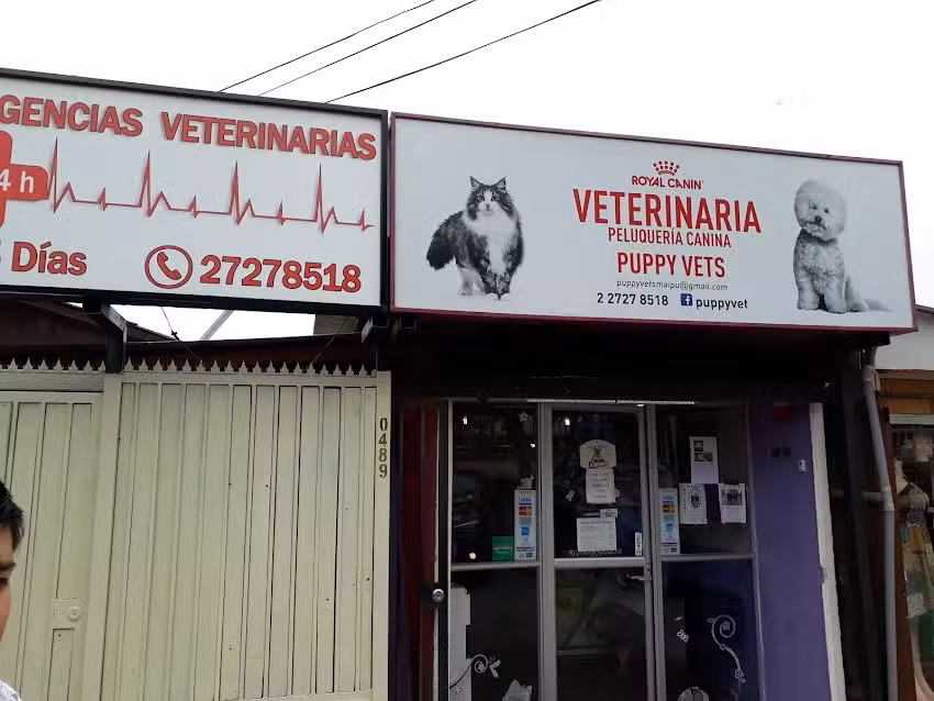 Urgencia veterinaria 24 horas Y Hospital Cl&iacute;nico Puppy Vets maip&uacute;