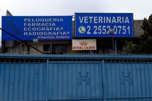 Urgencias Veterinarias San Miguel