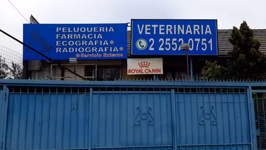 Urgencias Veterinarias San Miguel