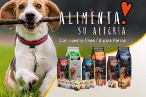 Venta de alimento y accesorios de mascotas