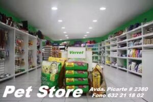 Vervet – Veterinaria