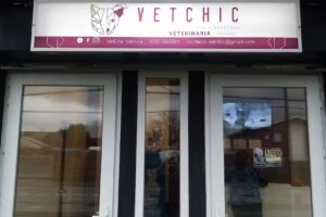 VetChic Valdivia