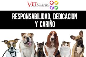 Vetclinic