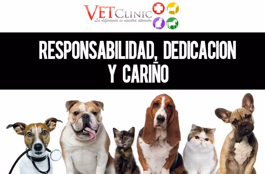 Vetclinic