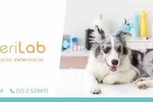 Veterilab Laboratorio Veterinario
