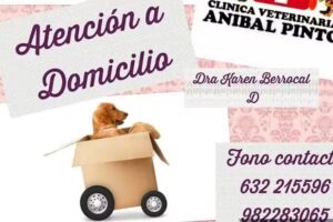 Veterinaria a Domicilio