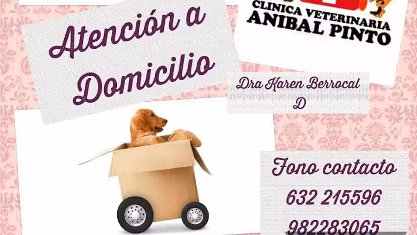 Veterinaria a Domicilio