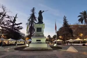 Veterinaria a Domicilio Rancagua. Dra Claudia Valenzuela Dintrans