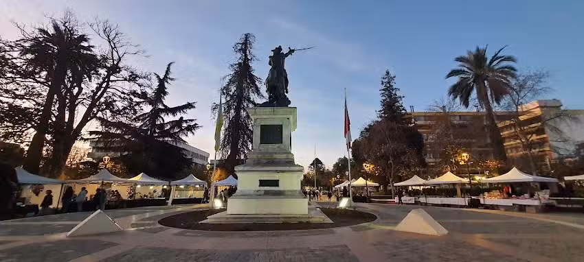 Veterinaria a Domicilio Rancagua. Dra Claudia Valenzuela Dintrans