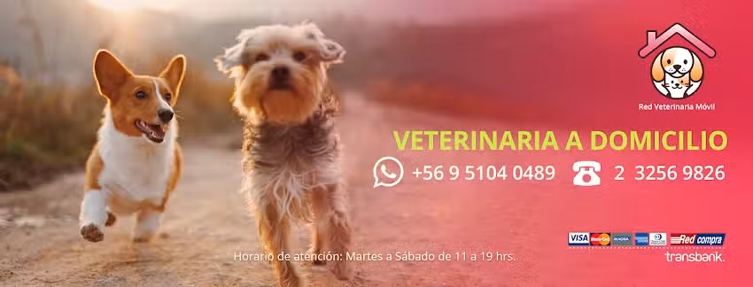 Veterinaria a Domicilio RVM poniente