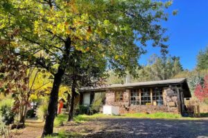 Veterinaria Acupuntura