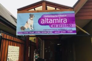 Veterinaria Altamira