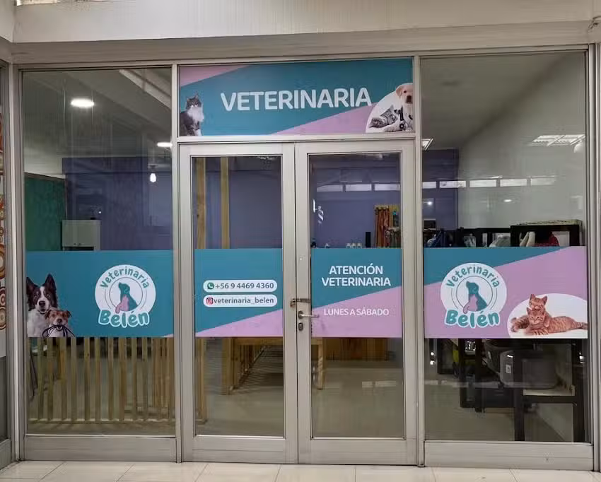 Veterinaria Bel&eacute;n