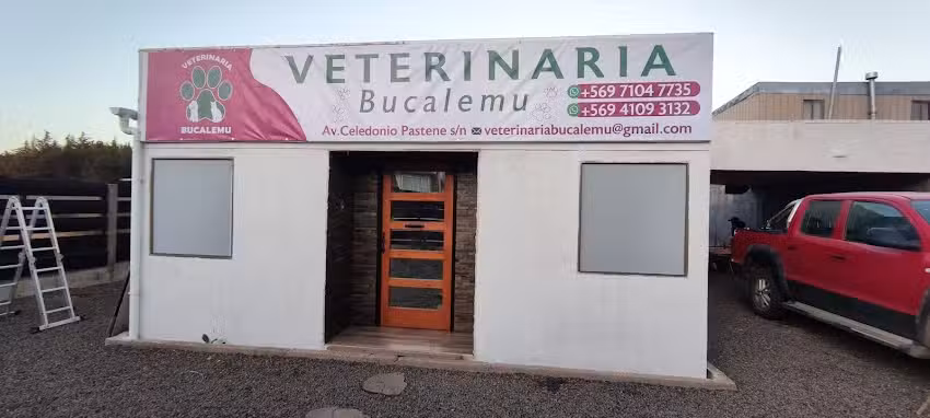 Veterinaria Bucalemu