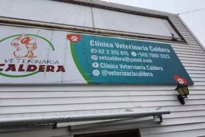 Veterinaria Caldera