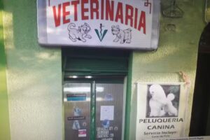 VETERINARIA CALLE ANTOFAGASTA
