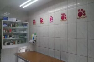 Veterinaria Cartagena