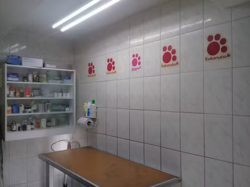 Veterinaria Cartagena