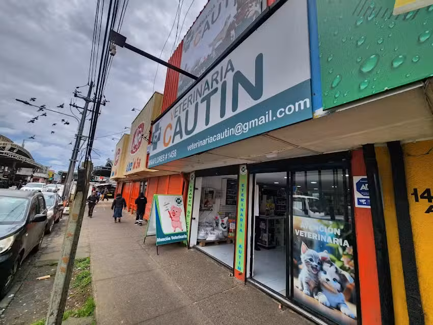 Veterinaria Cautin